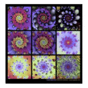Fractal Quilt #8 posters by eyebalm Fractal Quilt #8 posters