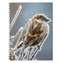 Fractalius Sparrow Journal