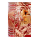 Fractured Psyche posters