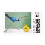Frade sanhaço stamp