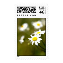 Fragile Beauty postage