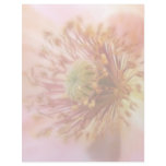 Fragile Bloom - Spring Poppy Letterhead Design