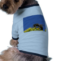 Fragile pet clothing