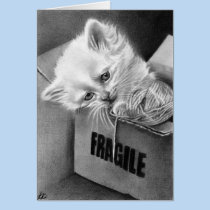 Fragile Kitty box Card