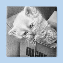 Fragile Kitty box Magnet