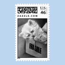 Fragile kitty box Postage stamps