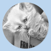 Fragile kitty box Sticker