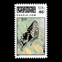 Fragile postage