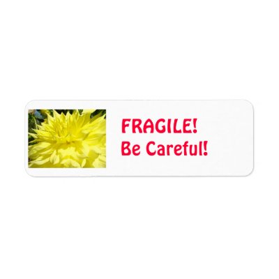 careful fragile