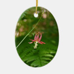 Fragile Wild Columbine Ornaments