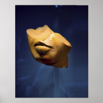 Fragment face of a Queen Print