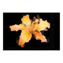 Fragmented Orange Flower posters