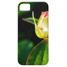 Fragrant Flowers iPhone 5 Case