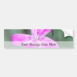Fragrant Garden Pinks Bumper Stickers