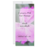 Fragrant Garden Pinks rack cards