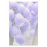Fragrant Muscari Blooms Customized Stationery