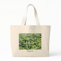 Fragrant Oregano bags
