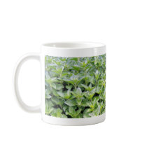 Fragrant Oregano mugs
