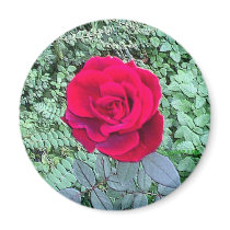 Fragrant Red Rose Magnet by skywatcher Fragrant Red Rose Magnet