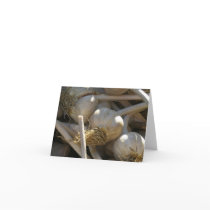 Fragrantly Delicious in Raw Form cards by TheRidebyCarlaRay Fragrantly Delicious in Raw Form cards