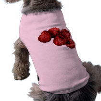 Frambuesa pet clothing by allaboutdrums Frambuesa pet clothing