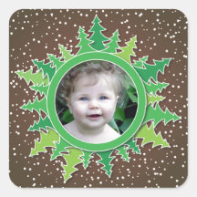 Frame with Christmas Trees on brown bg Sticker