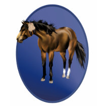 Framed Buckskin Horse Shirt