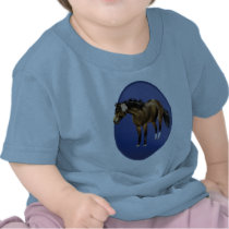 Framed Buckskin Horse Shirt