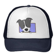 Framed Cartoon Border Collie Hat