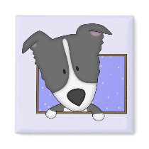Framed Cartoon Border Collie Magnet