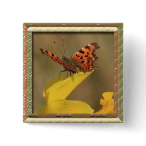 Framed Daffodil and comma Butterfly Pins