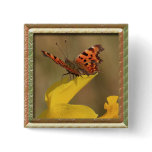 Framed Daffodil and comma Butterfly buttons