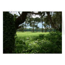 Framed Field cards by Libby Framed Field cards