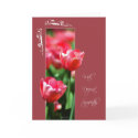 Framed Flower Tulips-Deepest Sympathy cards by William63 Framed Flower Tulips-Deepest Sympathy cards