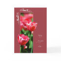 Framed Flower Tulips-Loss cards by William63 Framed Flower Tulips-Loss cards