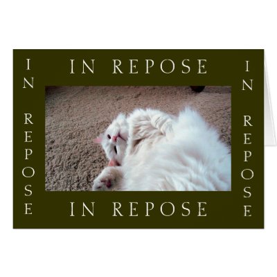 Framed: In Repose 2 Card by codfishlady