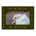 Framed: In Repose 2 cards