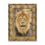 Framed Lion Postcard
