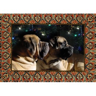 Framed Mastiff Pair Card card