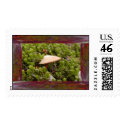 Framed Mushroom postage by aurorawind Framed Mushroom postage