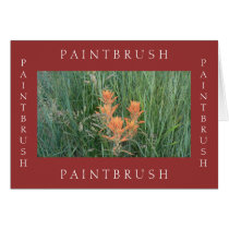Framed Paintbrush cards