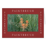 Framed Paintbrush Greeting Cards