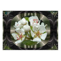 Framed Pear flowers ~ ATC card business cards by Andy2302 Framed Pear flowers ~ ATC card business cards