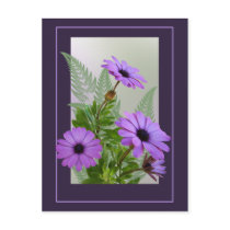 Framed Purple Daisies Postcard by AJsGraphics Framed Purple Daisies Postcard