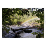 Framed Rainbow cards
