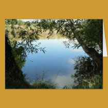 Framed Reflections cards by codfishlady Framed Reflections cards