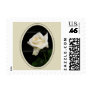 Framed White Rose