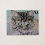 Fran the Tabby Cat Puzzles