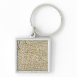France 20 key chain
