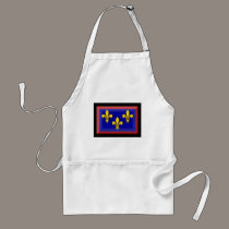 France-Anjou Flag aprons